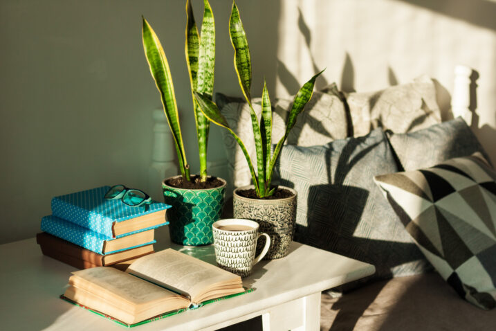 Foto: iStock