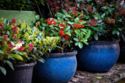 Foto: iStock