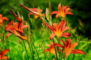 Foto: iStock