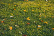 Foto: iStock