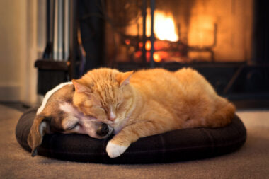 Foto: iStock