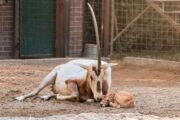 Foto ZOO Zagreb