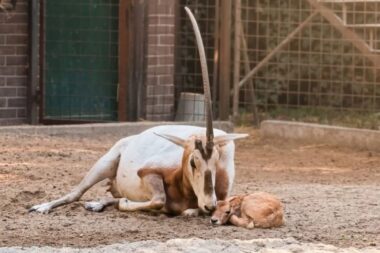 Foto ZOO Zagreb