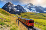 Foto: iStock