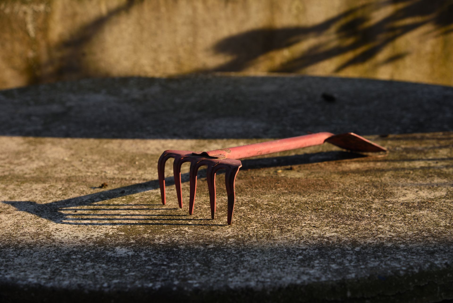 FOTO: Pexels